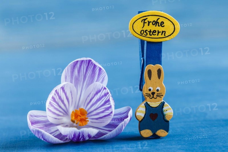 Crocus Flower and Bracket with Inscription Happy Easter
