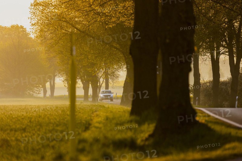 A car drives across a country road in the morning light in Glasewitz
