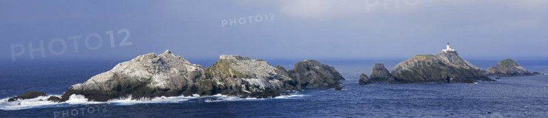 Gannetry on sea stacks and the Muckle Flugga lighthouse