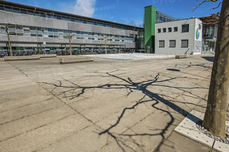 Building of the development company IZB mbH