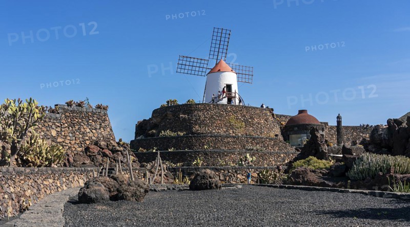 Windmill in the Jardin de Cactus