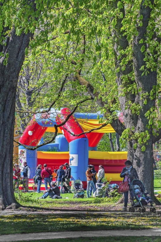 Bouncy castle under chestnuts