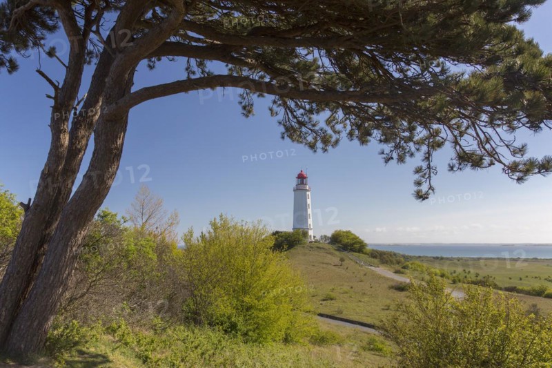 Dornbusch Lighthouse