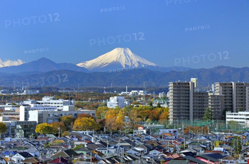 Mount Fuji