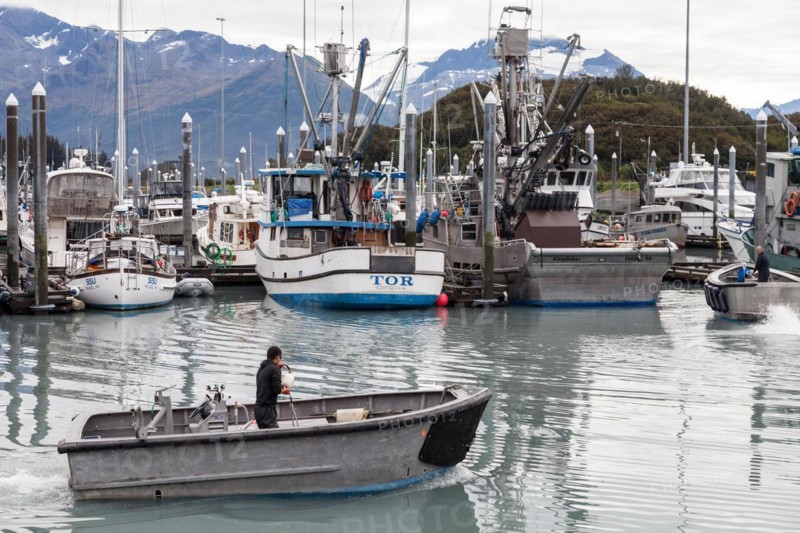 Boats in the harbour of Valdez