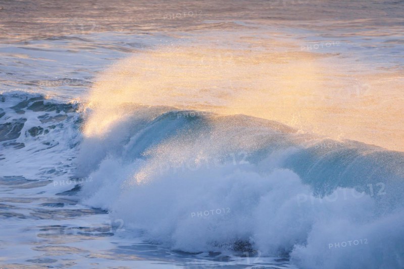 Backlit wave breaking in warm evening light on open sea off north coast of Scotland