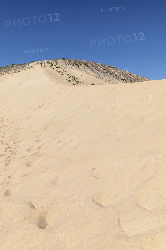 Dune Landscape