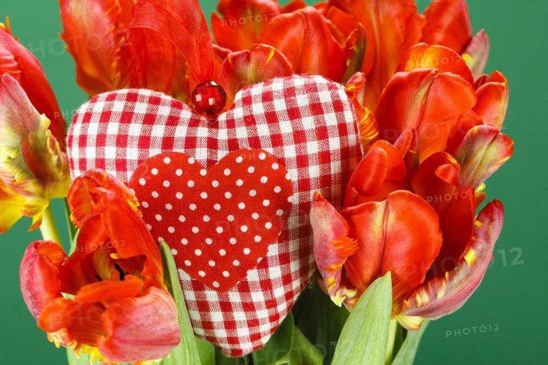 Tulip Bouquet and Fabric Tulip