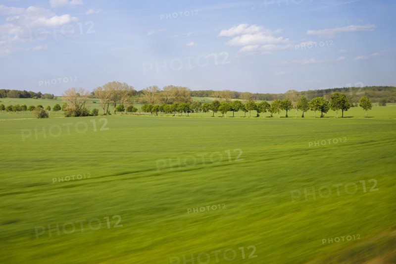 Landscape in central Germany. View from a moving train onto meadows and trees