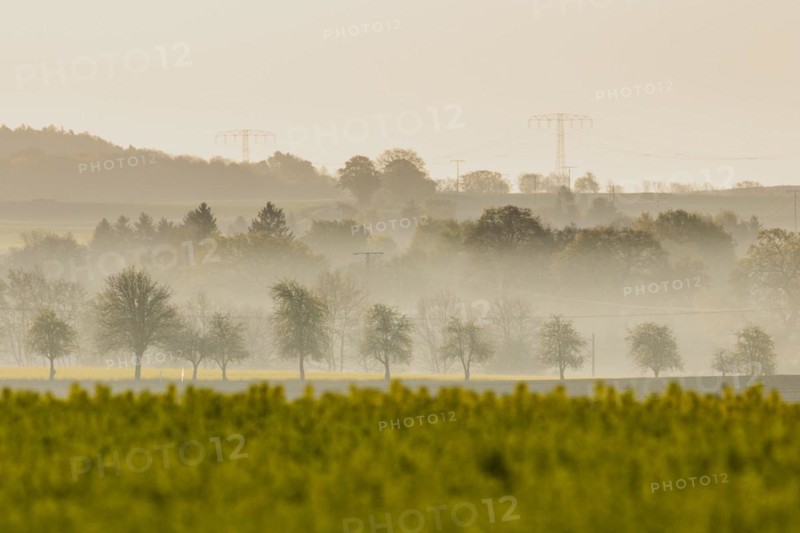 Electricity pylons looming in a landscape near Glasewitz