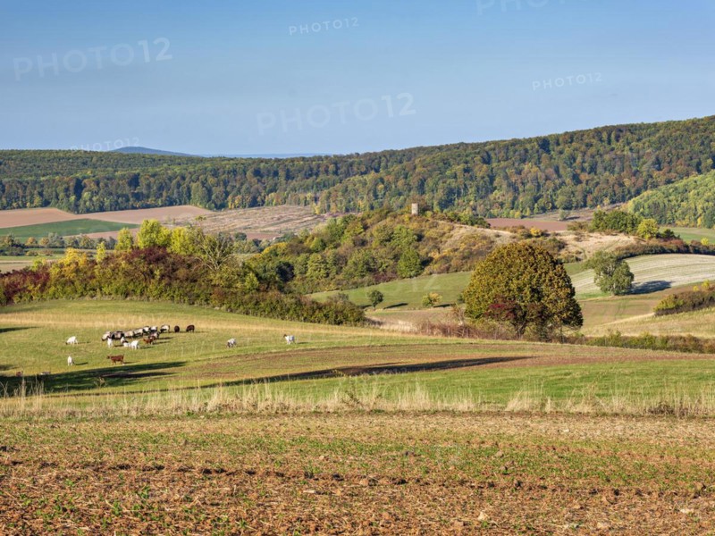 Typical hilly landscape in North Hesse in autumn