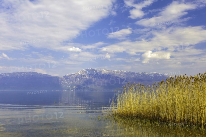 Lake Ohrid near Piskupat with rowing boat and reeds