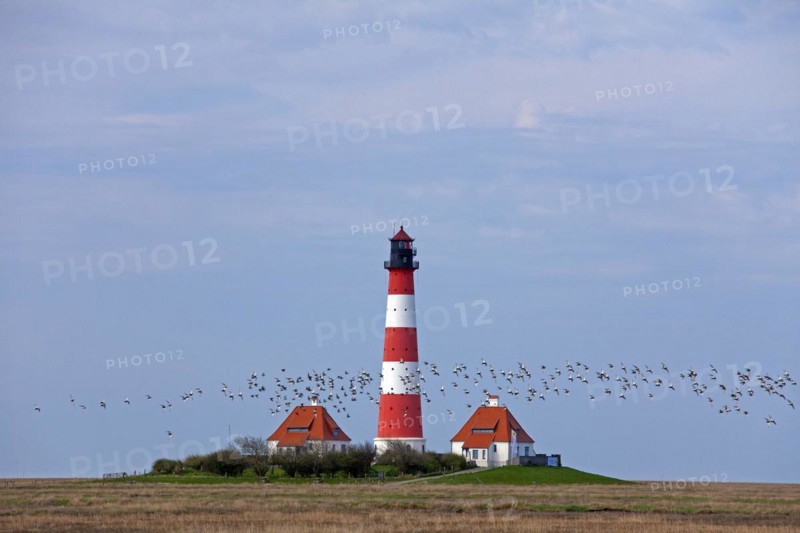 Lighthouse Westerheversand and salt marshes at Westerhever