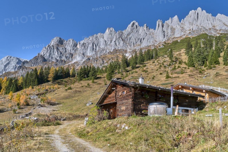 Autumnal alpine pasture in good weather