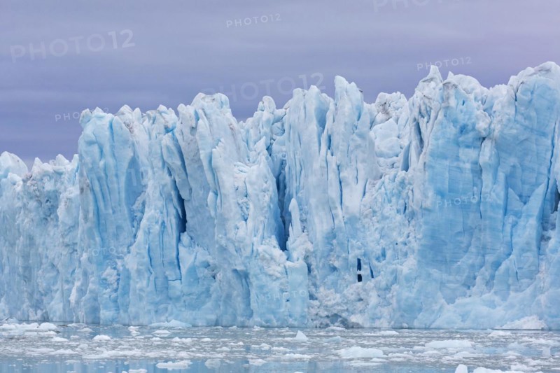 Monacobreen