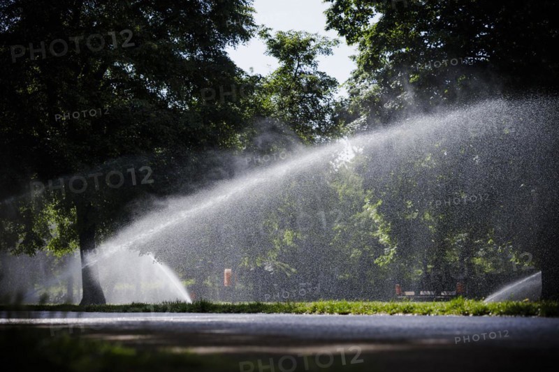 Symbolic photo on the subject of watering public green spaces. Lawn sprinklers water the Monbijoupark in Berlin Mitte. Berlin