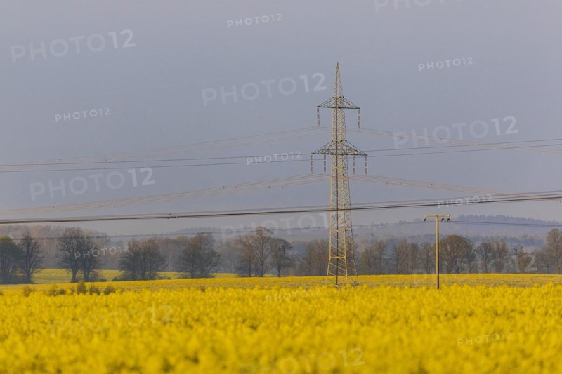 Electricity pylons looming in a landscape near Glasewitz