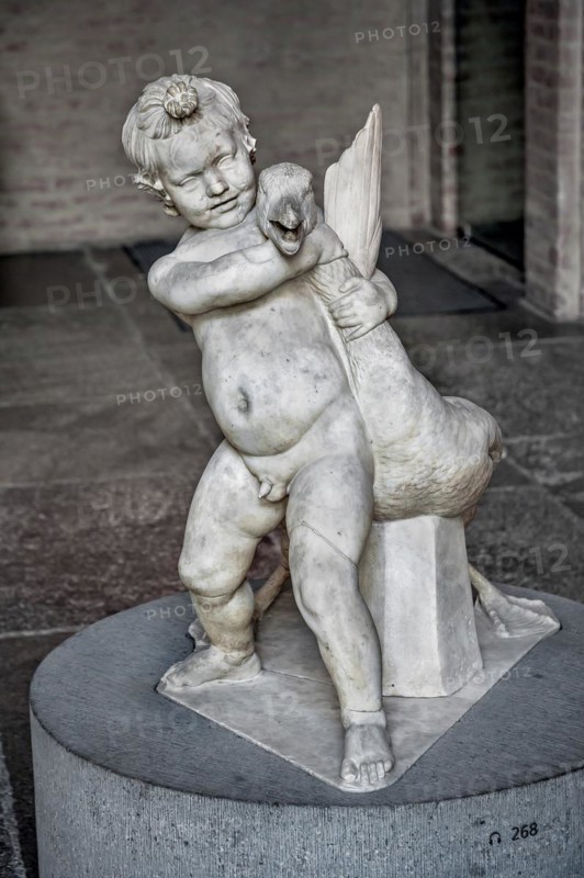 Boy with the goose