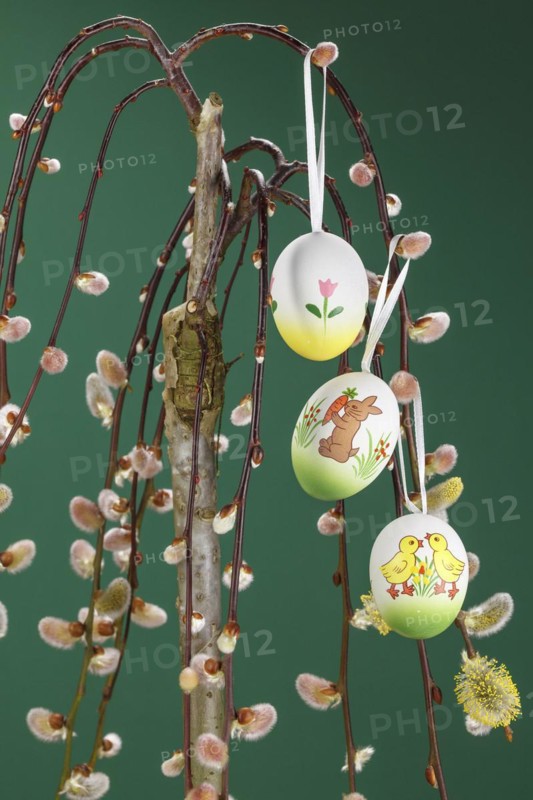 Willow catkin with Easter eggs
