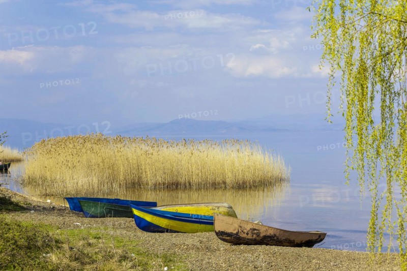 Lake Ohrid near Piskupat with rowing boat and reeds