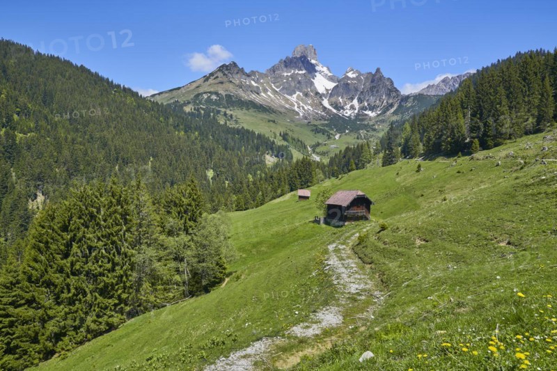 Aualm with large Bischofsmuetze