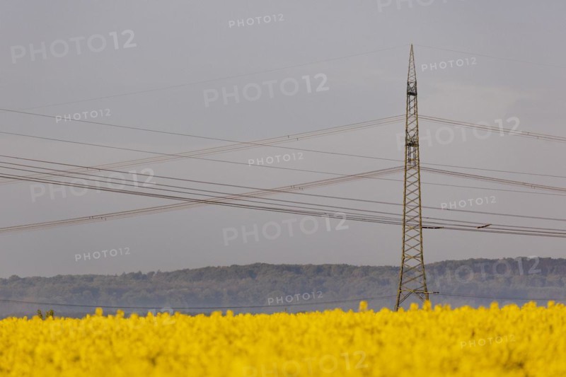 Electricity pylons looming in a landscape near Glasewitz