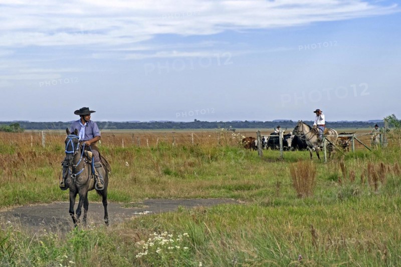 Traditional Argentine gauchos on horseback