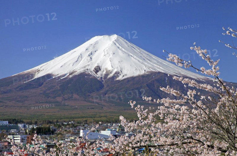 Mount Fuji and cherry blossoms Fujiyoshida city Yamanashi Japan