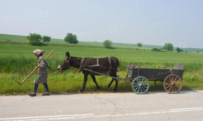 Woman cutting grass with scythe at the roadside