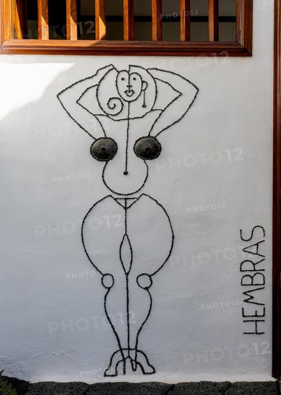 Artfully designed sign at the ladies' toilet
