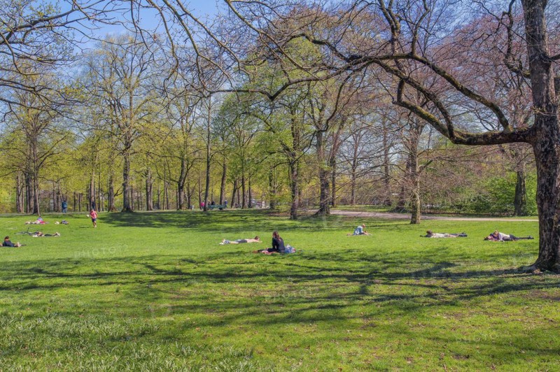 People sunbathing in the springtime Luitpoldpark