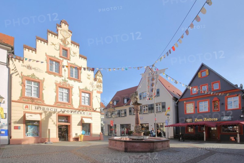 Fish market with historic Deer pharmacy and lion fountain with carnival