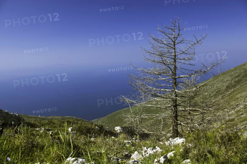 Llogara National Park in the Ceraunian Mountains in southern Albania
