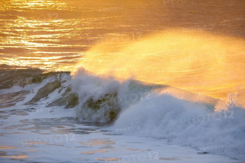 Large wave backlit