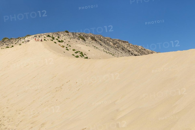 Dune Landscape