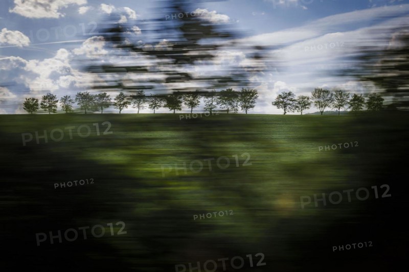 Landscape in central Germany. View from a moving train onto meadows and trees