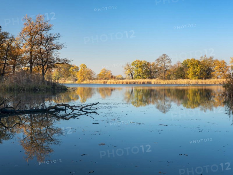 Autumn at Lake Kuehnau