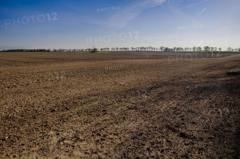 A freshly ploughed and harrowed field in Brandenburg. Grossmutz