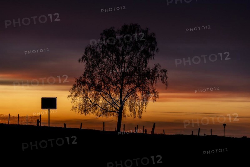 A town sign and a tree silhouetted against the setting sun
