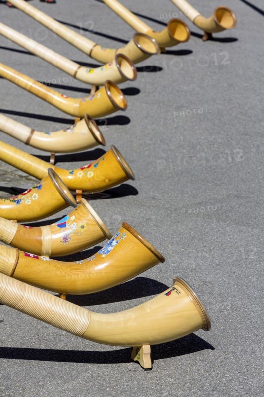 Concert with traditional alphorn instruments