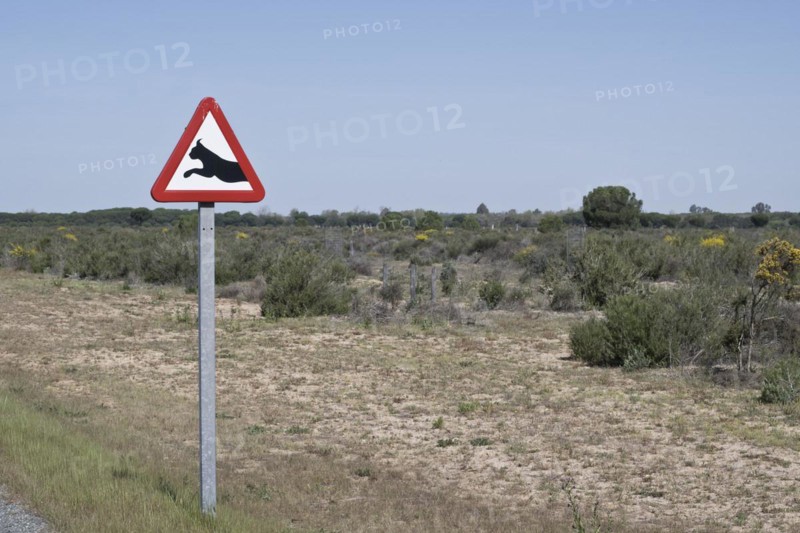 Warning sign lynx change