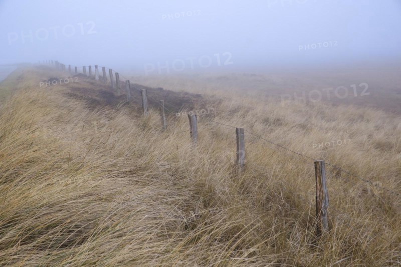 Fence in the dune landscape
