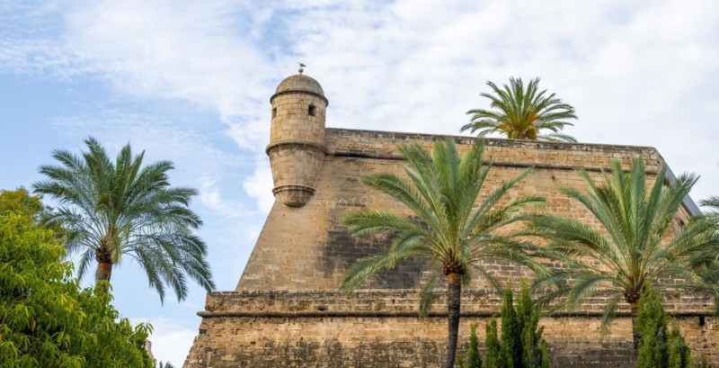 Fortress wall with tower