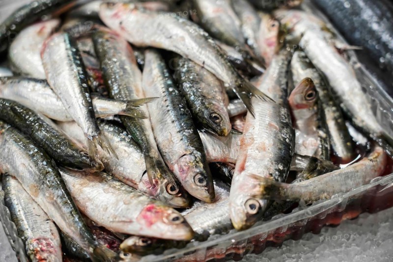 Seafood