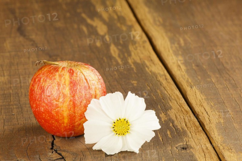 Apple with white cosmea