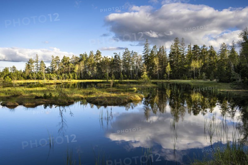 The Wildsee with its small islands in the Wildseemoor on a sunny day