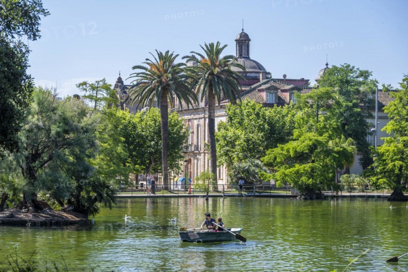 Rowing boat in a lake