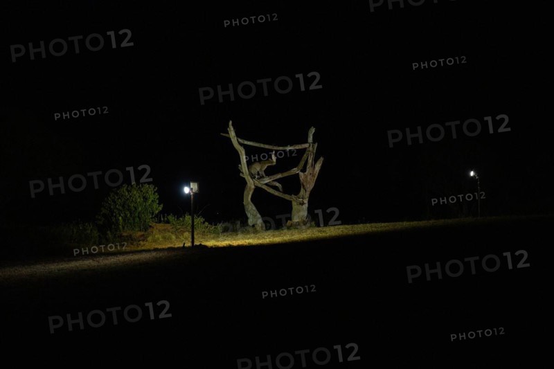 Leopard feeding at night in Tsavo west National Park