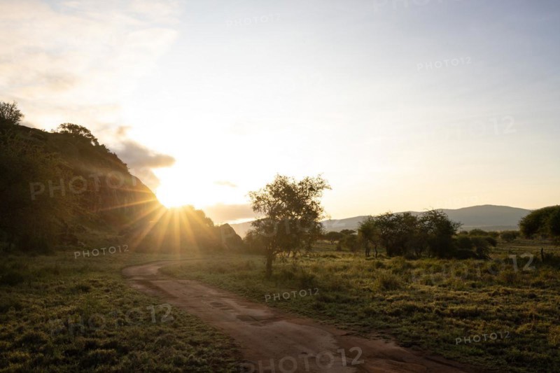 View on a safari