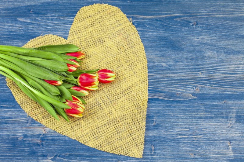 Linen Tulip Bouquet on Brown Heart